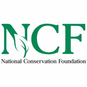 NCF Logo